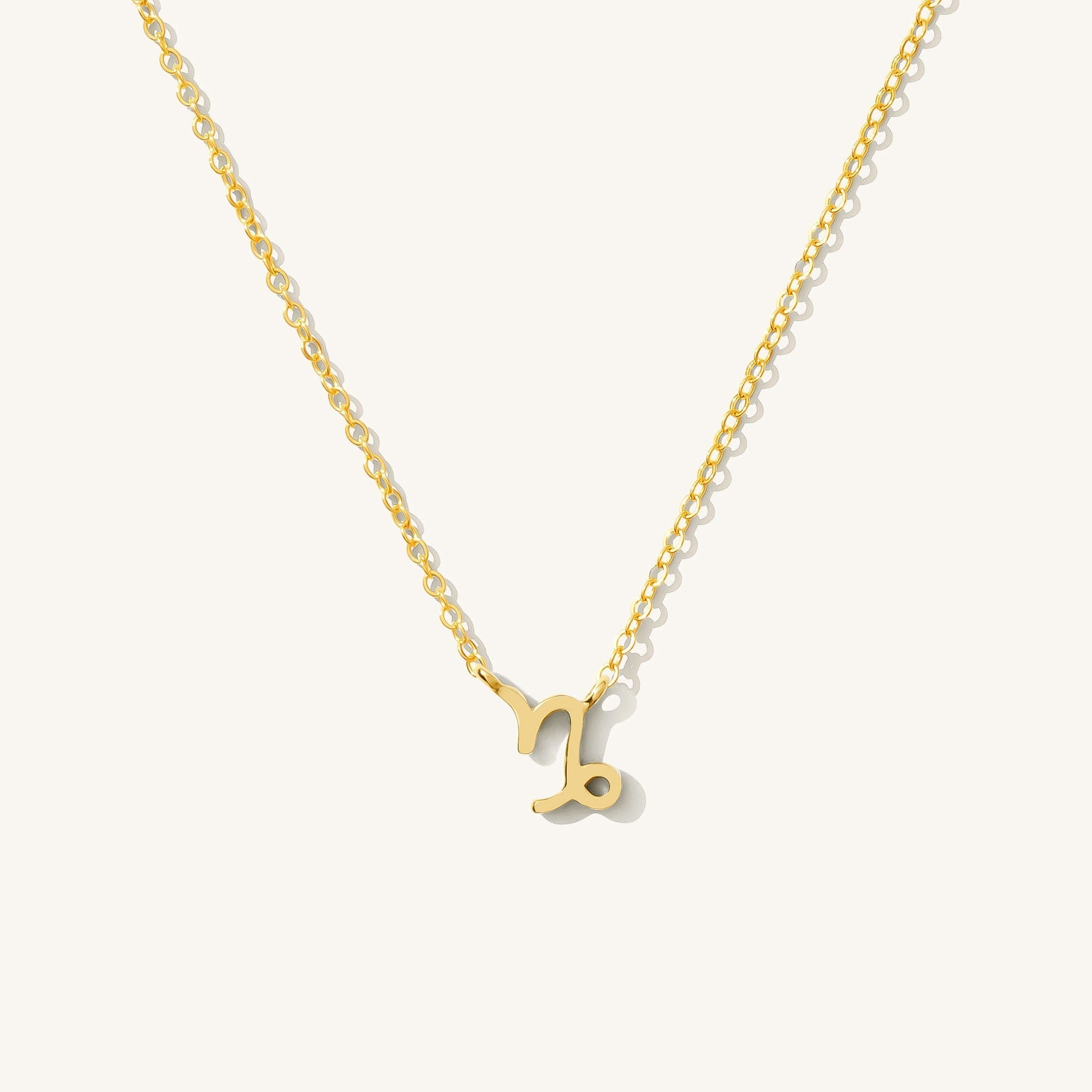 14K Gold Tiny Zodiac Necklace