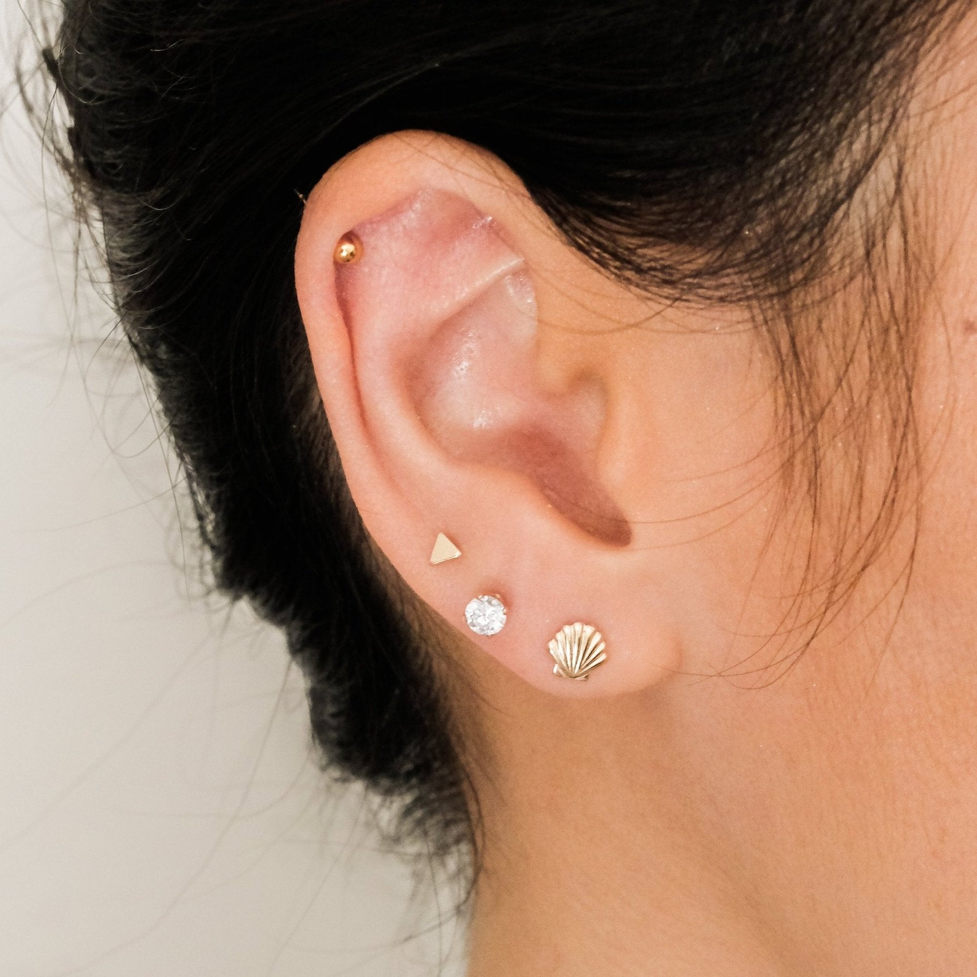 Seashell Stud Earrings